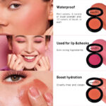 POLLIAM Blush Powder – Silky Texture, Easy to Apply, No Fallout #01